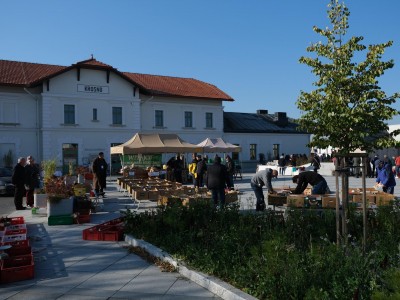 Market of antiques and handicrafts 10.10.2021-jarmark-staroci-10.10.2021-21.jpg