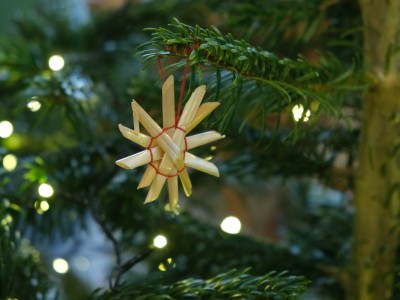 Prepare your Christmas with Ethnocentre 22.12.2024-DSCF4264.jpg