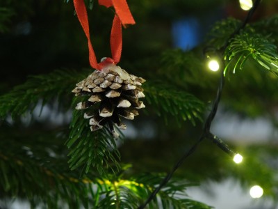 Prepare your Christmas with Ethnocentre 22.12.2024-DSCF4265.jpg