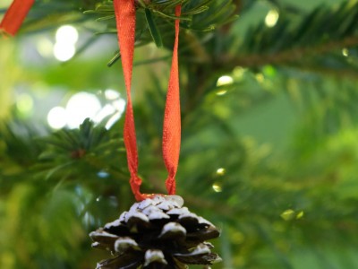 Prepare your Christmas with Ethnocentre 22.12.2024-DSCF4273.jpg