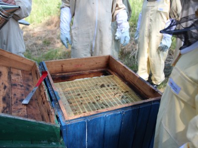 Beekeeper workshops 7-11.07.2021-warsztaty_pszczelarskie_2021_028.JPG