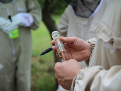 Beekeeper workshops 7-11.07.2021-warsztaty_pszczelarskie_2021_057.JPG