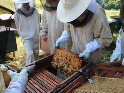 Beekeeper workshops 7-11.07.2021-warsztaty_pszczelarskie_2021_078.JPG
