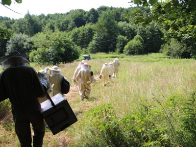 Beekeeper workshops 7-11.07.2021-warsztaty_pszczelarskie_2021_114.JPG